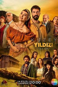 Полярная звезда / Kuzey Yildizi 1-64 серия турецкий сериал на русском языке все серии бесплатно смотреть