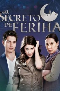 Я назвала её Фериха / Adini Feriha Koydum 1-80 серия (2011) онлайн смотреть турецкий сериал все серии на русском языке